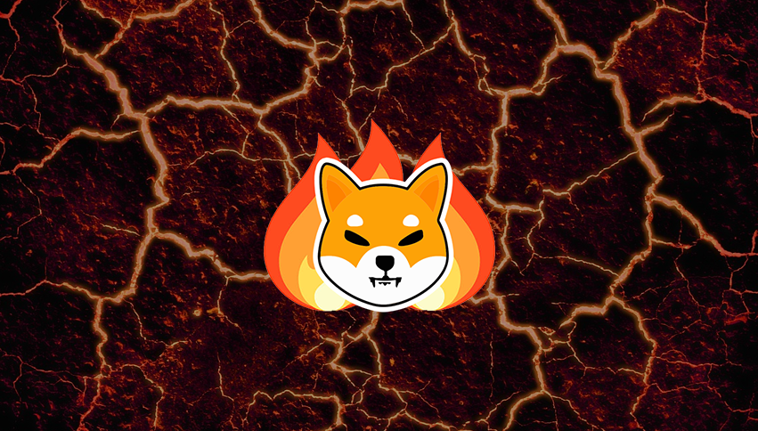 Important Update Regarding the SHIB Burn Portal