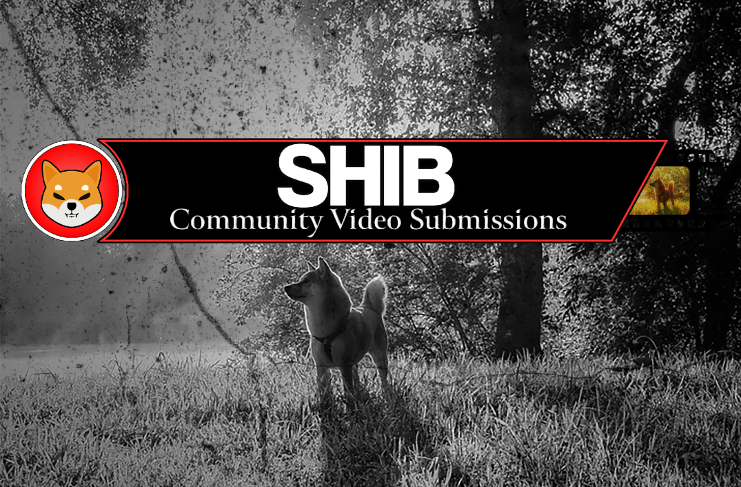 Community Video Submissions