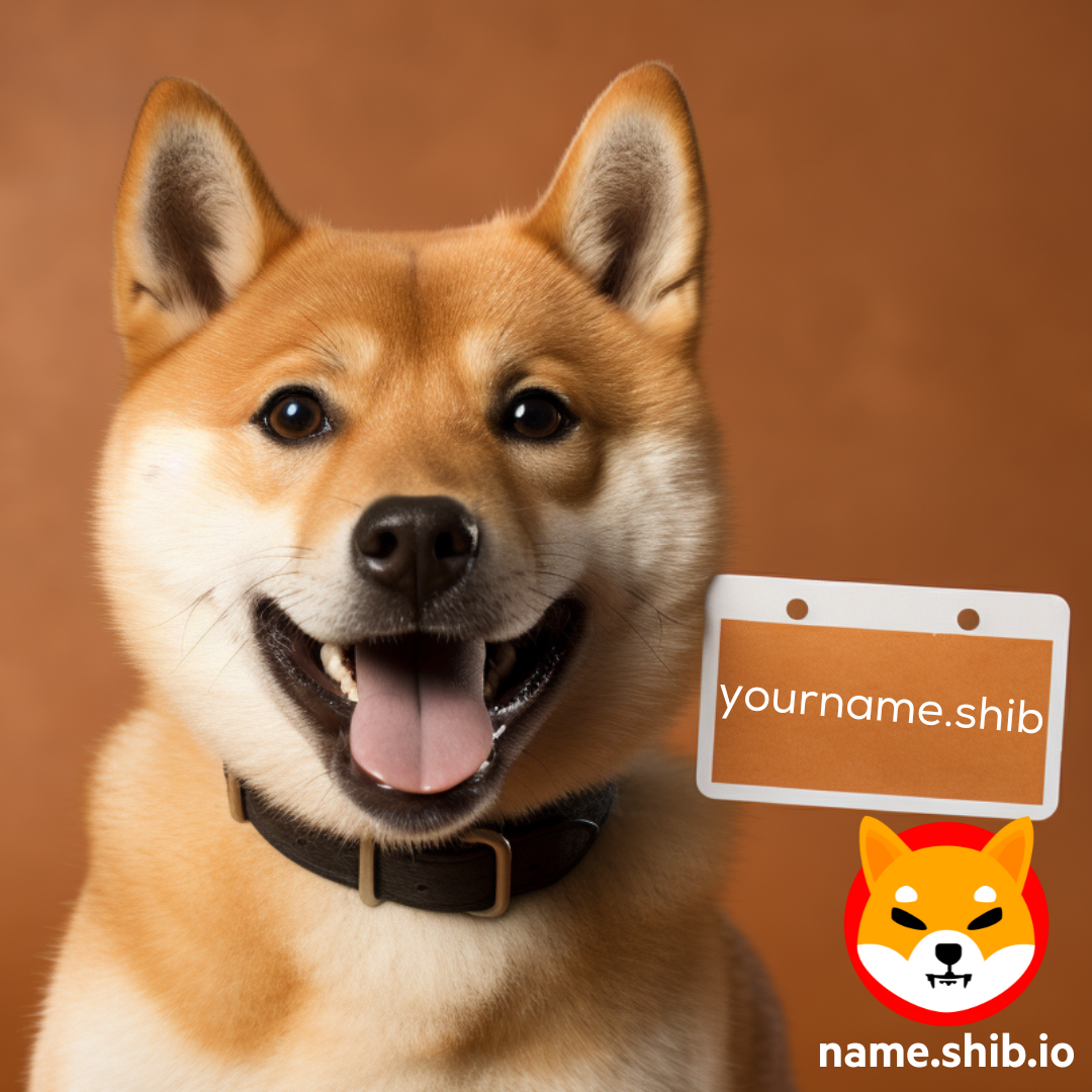 Defining the Future of Shibdentity: Introducing Shib Name Service