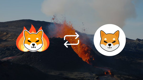 ShibaSwap Takes Over: A Burn Portal Update and Fix Introduced by Shiba's Developer Team
