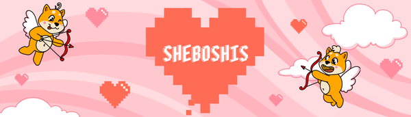 Addressing Our Launch: An Update from the Sheboshi Squad